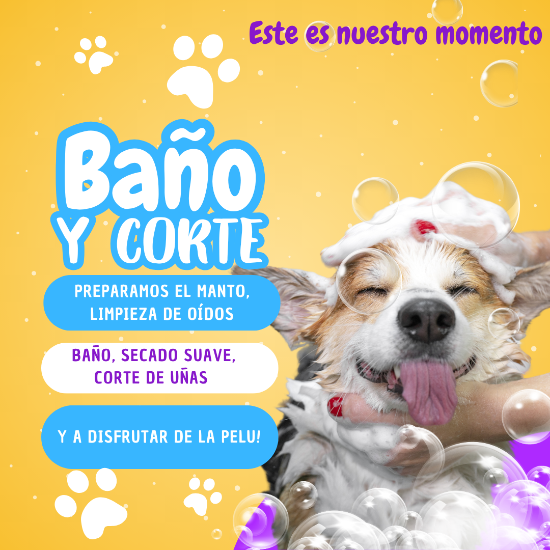 Peluquería canina López 